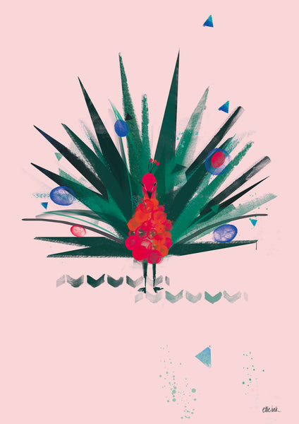Mr Peacock | Pink