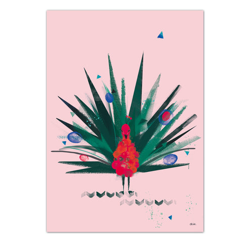 Mr Peacock | Pink
